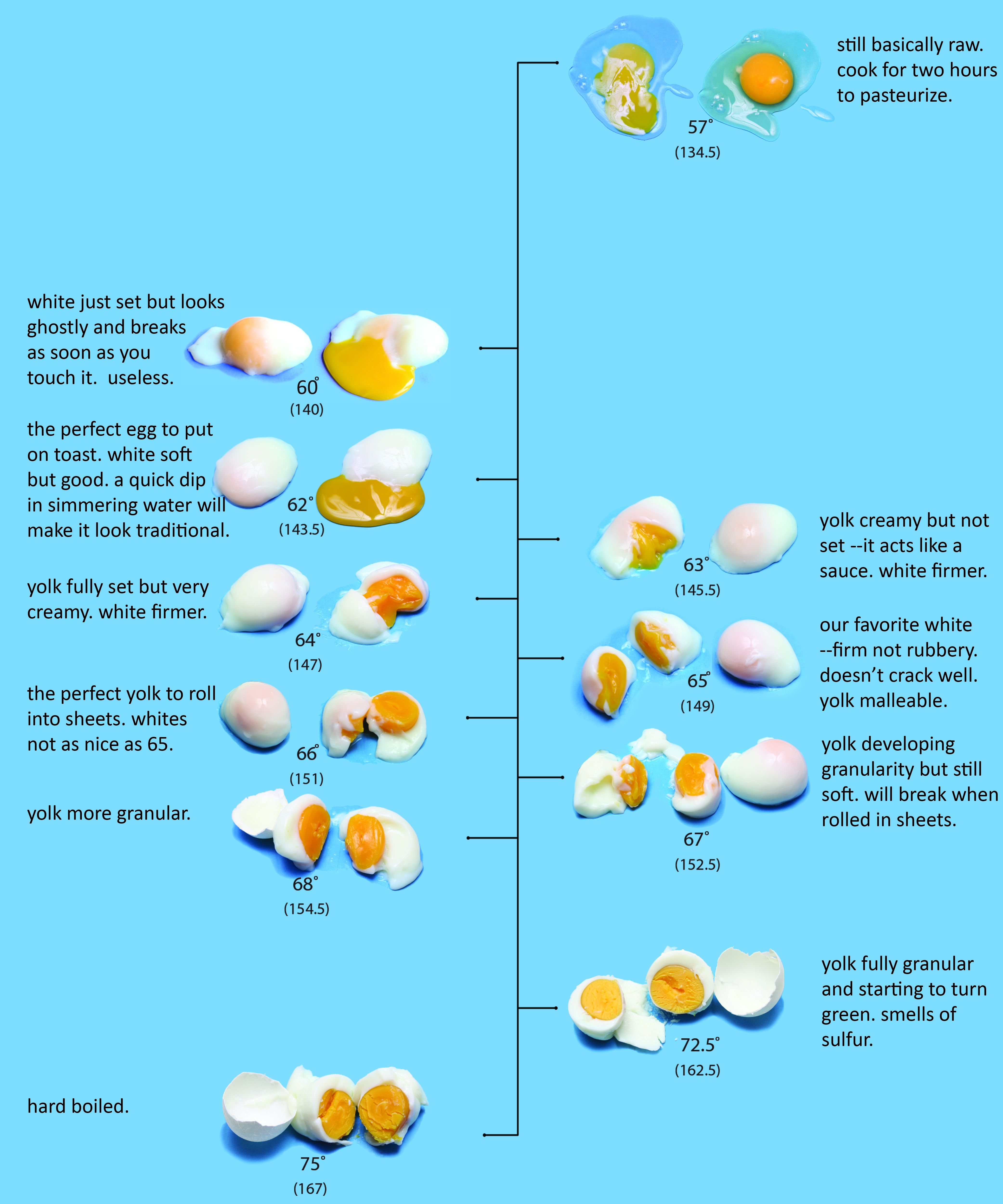 Cooking Issues Egg Chart